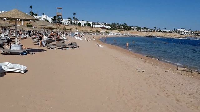 Лучший пляж в Шарм-эль-Шейхе. Domina coral bay oasis 5*. Самый полный обзор пляжа. Египет.