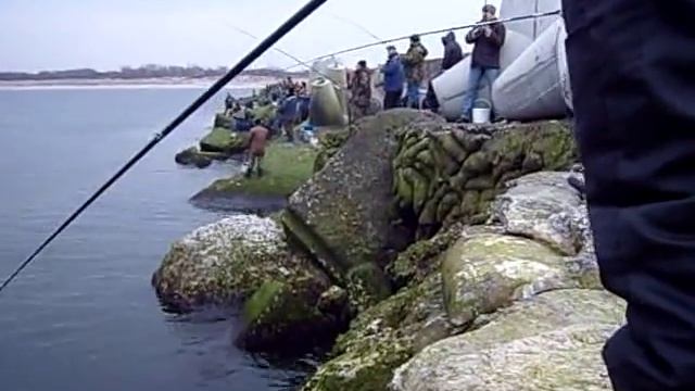 Салака пошла ! смотреть онлайн