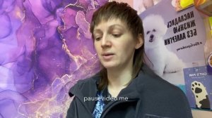 Обзор на AJO (айо) для собак