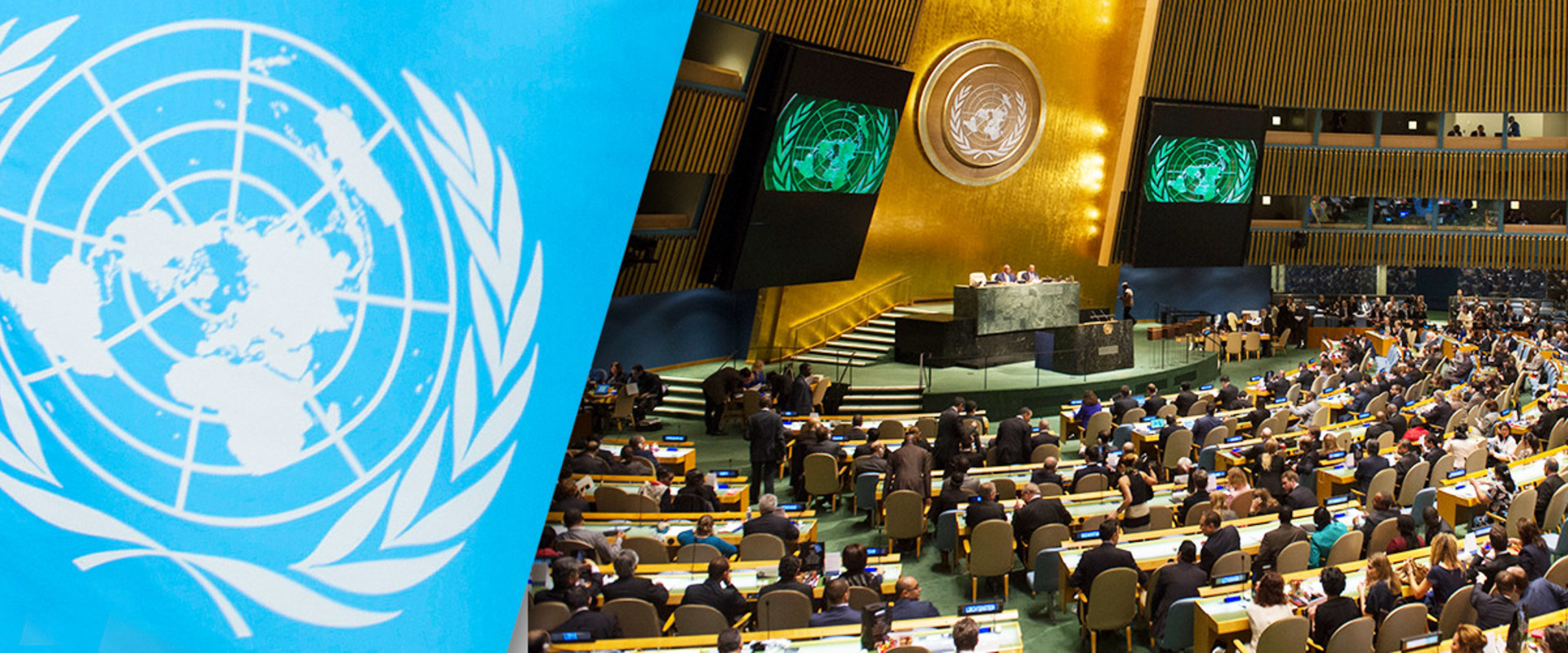 Р оон. Генеральная Ассамблея и совет безопасности ООН. Международная конференция ООН В 1994 В Каире. Генеральная Ассамблея ООН 1990 год. Генеральная Ассамблея ООН 1970.