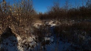 ОХОТА С ПНЕВМАТИКОЙ И ТЕСТИРУЮ БИГЛЯ.