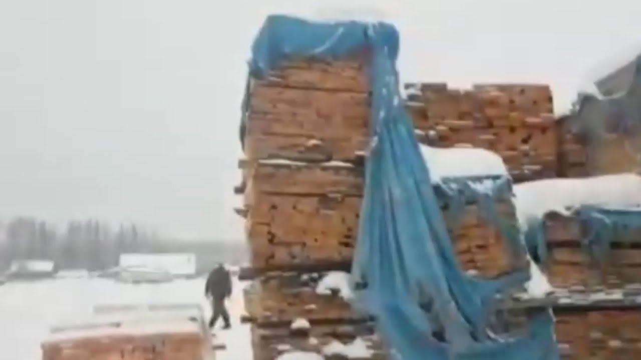 Не убранные лесорубами как пишется. В Ангарске взорвался ГАЗ.