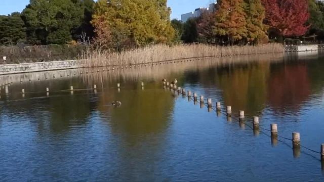 私趣味がカメラになりました。Nikon COOLPIX P1000がこの世の見方を変える смотреть онлайн