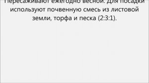 Гипоцирта уход