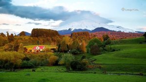 Расслабляющая музыка и успокаивающие звуки природы