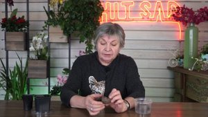 ПОСАДИТЕ ТАК КАРТОФЕЛЬ ДЛЯ СУПЕР УРОЖАЯ ✔️ КАРТОФЕЛЬ РОСТКАМИ