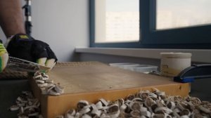 Топ сталей по агрессии. Лучшая Книга. MagnaCut. Оптимальные бюджетные ножи для кухни. #ama p3.1