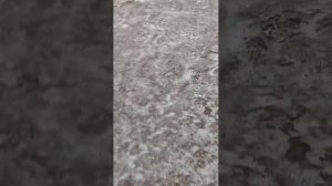 LAND ROVER FREELANDER 2002 . Как открыть дверь без ключа.