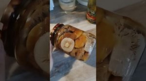 Паутинник Триумфальный.Рецепт маринованных грибочком#просто язык проглотить?