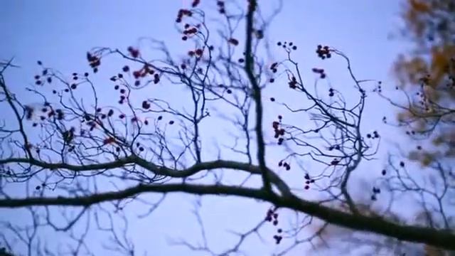 KAZKA-ПЛАКАЛА) НА РУССКОМ ЯЗЫКЕ COVER САША (КАПУСТИНА)