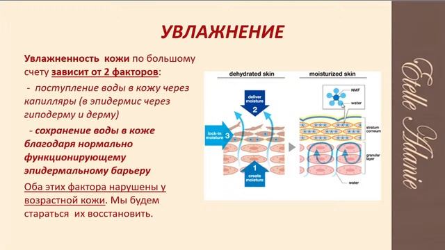 Как правильно увлажнять кожу и не вредить ей?