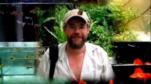 Тетрахимены