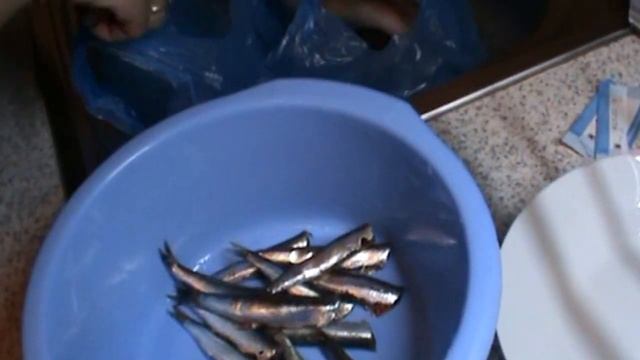 САЛАТ ИЗ СВЕКЛЫ И РЫБКА . смотреть онлайн