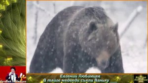 Евгений Любимцев - В тайге медведи съели Ваньку.mp4