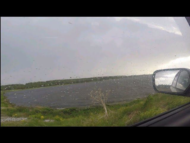 Окунишки на мормышку.