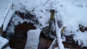 Овинец - Псковская область . Плюсский р - он - Россия