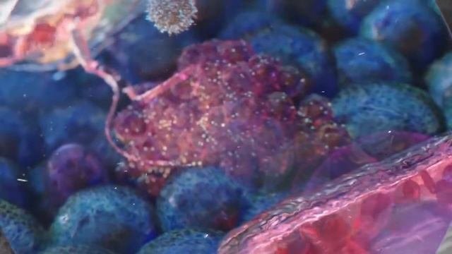 Патофизиология опухолевого роста. Hallmarks Of Cancer