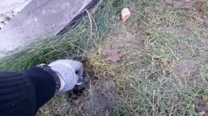 Преимущество форсунок с запорным клапаном в автополиве