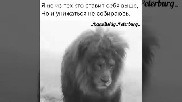 Царь Зверей смотреть онлайн