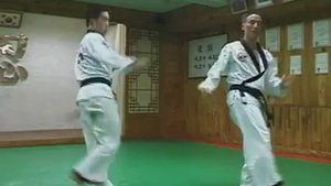 Техника и сущность Хапкидо