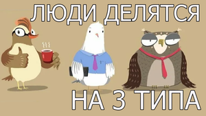 ЛЮДИ ДЕЛЯТСЯ НА 3 ТИПА СОВА,ЖАВОРОНОК,ГОЛУБЬ ВСЕ ОНИ МОГУТ...