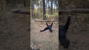 приседания с бревном в лесу. #бревно #спорт74 #сила