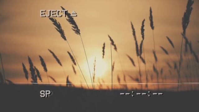 Товарняк | Страшная история на ночь | Черный Рик