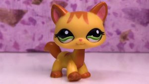 LPS: ПОЧЕМУ ОНИ ТАК ОДЕТЫ?! (ОПЫТ #3)