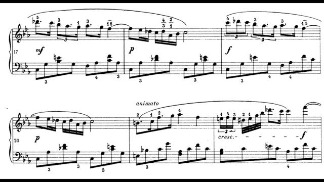 Frédéric Chopin: Nocturne in C minor, B.108 смотреть онлайн