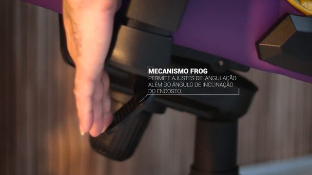 Comparativo Cadeira Gamer ThunderX3 TGC12 DT3 Elise Pichau Omega e Taurus  Qual a Melhor Opção?