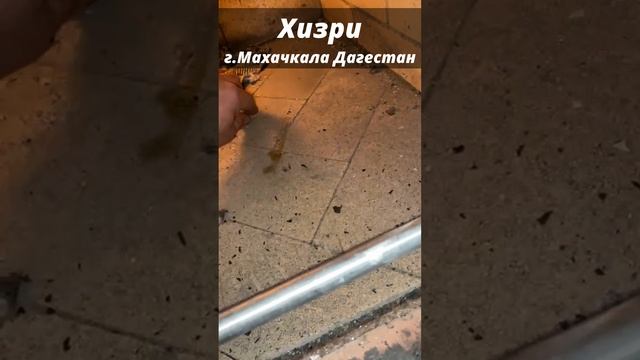 Хизри из Махачкалы собрал барбекю с Двойным зубом