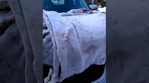 Вебасто для бедных. Заводим дизель в мороз со слабым аккумулятором .Подогрев двигателя. —21°.