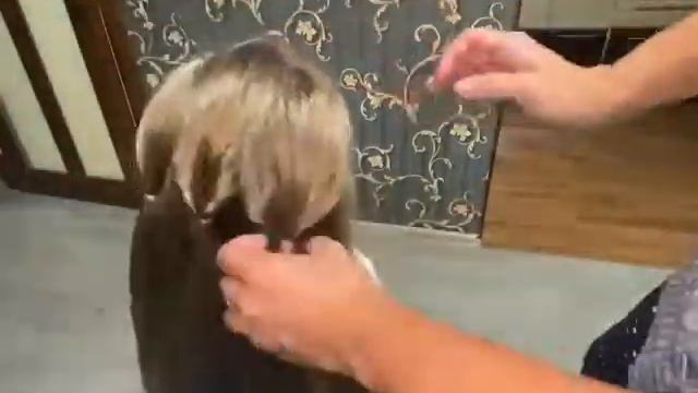 Легкая прическа за 5 минут смотреть онлайн