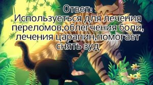 Тест на целителя #целительКВ