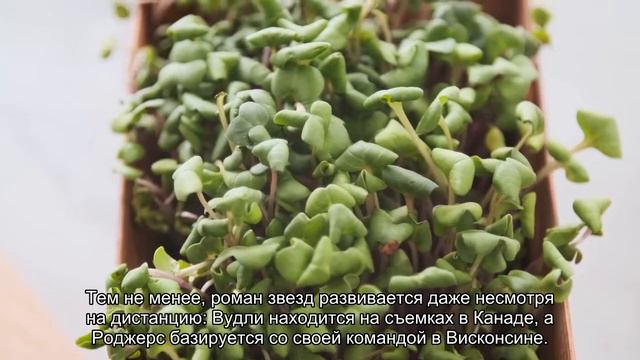Шейлин Вудли закрутила роман с известным спортсменом