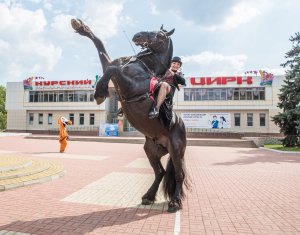 На представлении в Курском цирке