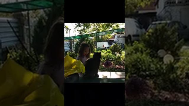 Майский жук чуть не съел кота Василия смотреть онлайн