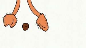 Мемы- 250 тонн тратила и Славянский зажим яйцами. Анимация моя. ( Я не старался)