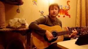 Песня про зайцев или "Травы плотно сплетены".