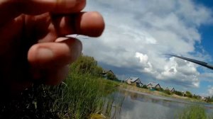 Рыбалка на деревенском пруду. Рыбалка на карася летом на поплавочную удочку. Ловля карася