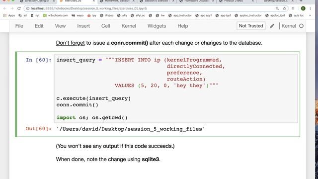 apy session 5 exercises 16 python param insert into