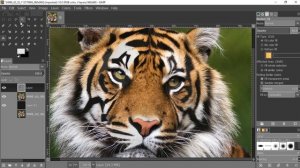 GIMP Tutorial: Low Polygon Effect in GIMP