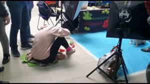 Как записать собаку на выставку и что там делать? Выставка собак ЧИХУАХУА ШПИЦ...