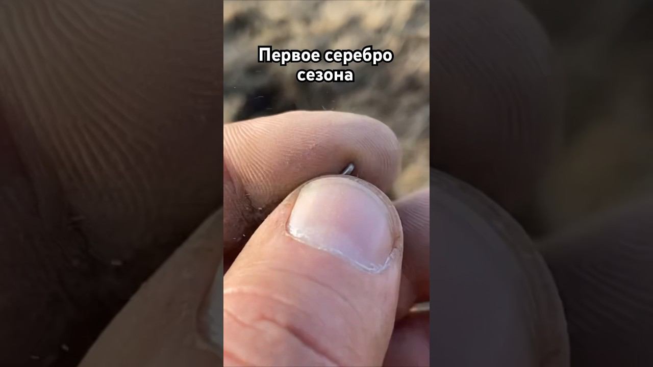 Первое серебро сезона 2024 #коп #кладоискатели #монеты