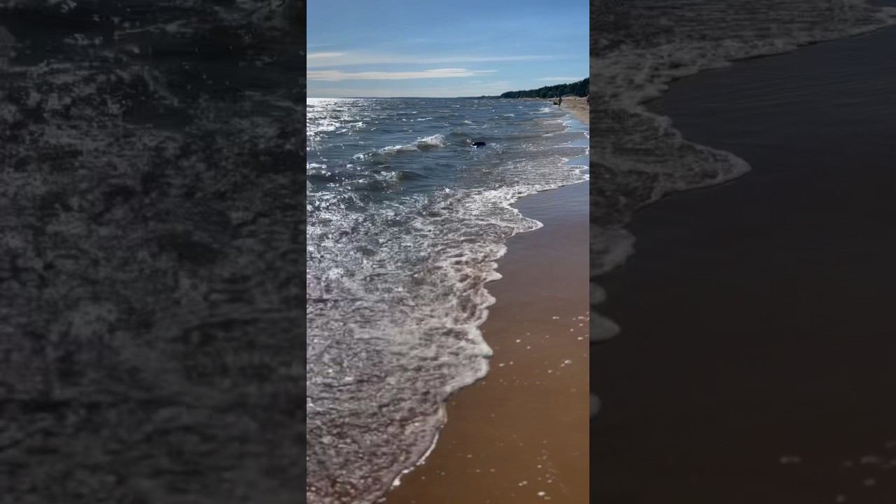 На недельку до второго.. Были в Комарово? Там настоящее море! #фридайвинг #freediving смотреть онлайн