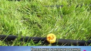 Компенсированная капельница для капельного полива