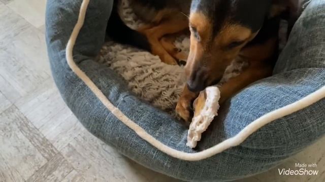 Я должна помогать? Суп из Тыквы ? / Показываю Рассказываю/?/Olga Kirchgessner смотреть онлайн