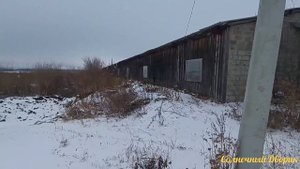 Калифорнийские кролики или Фландр ? Решили рискнуть. Поездка в Крол Сити - кроликоферма.