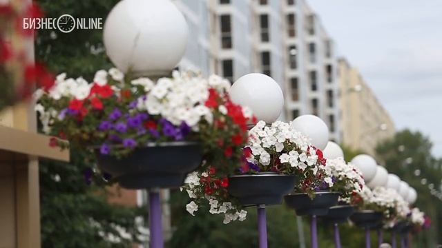 На жар-птицу у стен Казанского кремля ушло 36,5 тыс. цветов смотреть онлайн