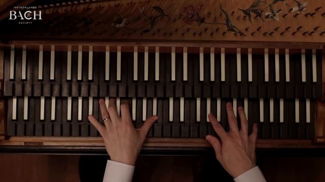 Bach - Partita no. 1 in B-flat major BWV 825 - Edwards | Netherlands Bach Society смотреть онлайн